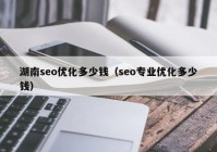 湖南seo优化多少钱（seo专业优化多少钱）