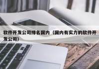 软件开发公司排名国内（国内有实力的软件开发公司）