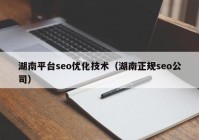 湖南平台seo优化技术（湖南正规seo公司）