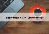 软件开发是什么公司（软件开发叫啥）