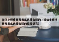 微信小程序开发怎么选择合适的（微信小程序开发怎么选择合适的编程语言）