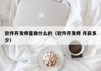 软件开发师是做什么的（软件开发师 月薪多少）